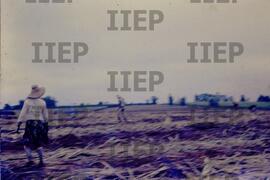 Terra : BR-SPIIEP_INF-EDP-DPS_TER-004-04 [diapositivo]