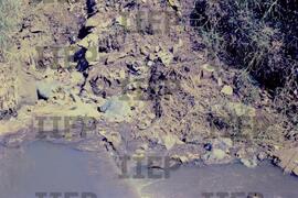 Ecologia : BR-SPIIEP_INF-EDP-DPS_ECO-004-22 [diapositivo]