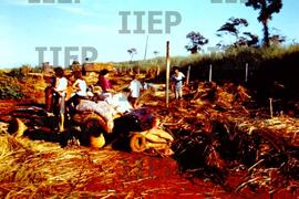 Terra : BR-SPIIEP_INF-EDP-DPS_TER-008-08 [diapositivo]