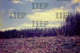 Terra : BR-SPIIEP_INF-EDP-DPS_TER-025-06 [diapositivo]