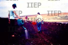 Terra : BR-SPIIEP_INF-EDP-DPS_TER-028-03 [diapositivo]