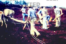 Terra : BR-SPIIEP_INF-EDP-DPS_TER-027-16 [diapositivo]