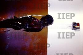 Gente : BR-SPIIEP_INF-EDP-DPS_GEN-001-08 [diapositivo]