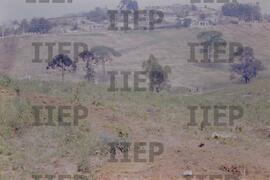 Moradia : BR-SPIIEP_INF-EDP-DPS_MOR-084-15 [diapositivo]