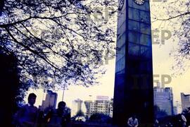Trabalho : BR-SPIIEP_INF-EDP-DPS_TRA-055-20 [diapositivo]
