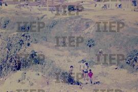 Ecologia : BR-SPIIEP_INF-EDP-DPS_ECO-002-11 [diapositivo]