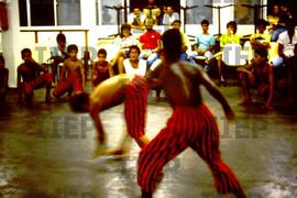 Cultura : BR-SPIIEP_INF-EDP-DPS_CUL-006-11 [diapositivo]