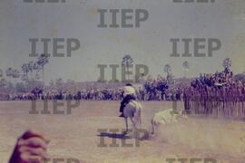 Cultura : BR-SPIIEP_INF-EDP-DPS_CUL-037-13 [diapositivo]