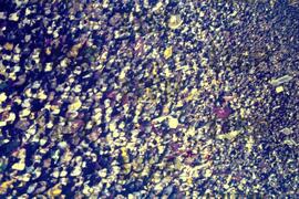 Política : BR-SPIIEP_INF-EDP-DPS_POL-054-05 [diapositivo]