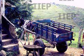 Trabalho : BR-SPIIEP_INF-EDP-DPS_TRA-175-18 [diapositivo]