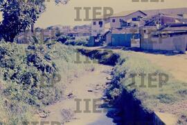 Ecologia : BR-SPIIEP_INF-EDP-DPS_ECO-004-02 [diapositivo]