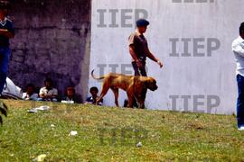 Trabalho : BR-SPIIEP_INF-EDP-DPS_TRA-079-06 [diapositivo]