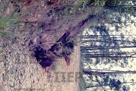 Ecologia : BR-SPIIEP_INF-EDP-DPS_ECO-023-03 [diapositivo]