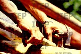 Terra : BR-SPIIEP_INF-EDP-DPS_TER-039-03 [diapositivo]