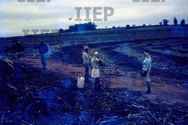 Terra : BR-SPIIEP_INF-EDP-DPS_TER-003-07 [diapositivo]