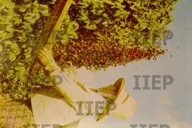 Gente : BR-SPIIEP_INF-EDP-DPS_GEN-037-15 [diapositivo]