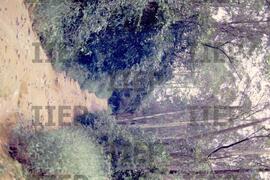 Ecologia : BR-SPIIEP_INF-EDP-DPS_ECO-023-08 [diapositivo]