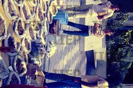 Trabalho : BR-SPIIEP_INF-EDP-DPS_TRA-146-14 [diapositivo]