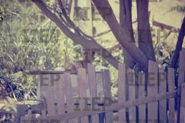 Moradia : BR-SPIIEP_INF-EDP-DPS_MOR-019-19 [diapositivo]