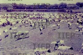 Exterior : BR-SPIIEP_INF-EDP-DPS_EXT-008-02 [diapositivo]