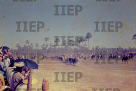 Cultura : BR-SPIIEP_INF-EDP-DPS_CUL-037-08 [diapositivo]