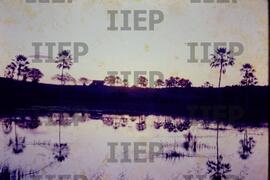 Cultura : BR-SPIIEP_INF-EDP-DPS_CUL-037-06 [diapositivo]