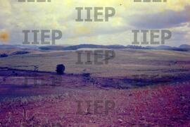 Terra : BR-SPIIEP_INF-EDP-DPS_TER-025-11 [diapositivo]