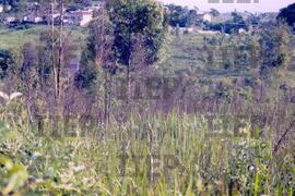 Moradia : BR-SPIIEP_INF-EDP-DPS_MOR-089-09 [diapositivo]
