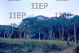 Terra : BR-SPIIEP_INF-EDP-DPS_TER-047-23 [diapositivo]