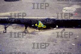 Cultura : BR-SPIIEP_INF-EDP-DPS_CUL-029-16 [diapositivo]
