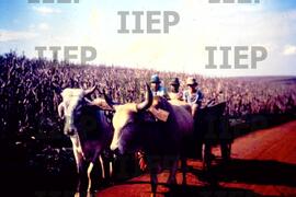Terra : BR-SPIIEP_INF-EDP-DPS_TER-028-09 [diapositivo]
