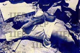 Violência : BR-SPIIEP_INF-EDP-DPS_VIO-006-13 [diapositivo]
