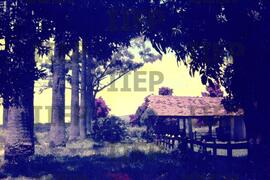 Cidades : BR-SPIIEP_INF-EDP-DPS_CID-031-19 [diapositivo]