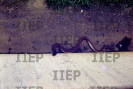 Ecologia : BR-SPIIEP_INF-EDP-DPS_ECO-001-09 [diapositivo]