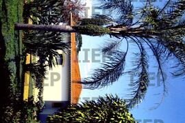 Moradia : BR-SPIIEP_INF-EDP-DPS_MOR-017-14 [diapositivo]