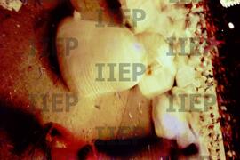 Cultura : BR-SPIIEP_INF-EDP-DPS_CUL-009-17 [diapositivo]