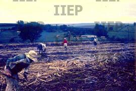 Terra : BR-SPIIEP_INF-EDP-DPS_TER-004-01 [diapositivo]