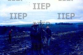 Terra : BR-SPIIEP_INF-EDP-DPS_TER-003-12 [diapositivo]