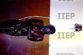 Gente : BR-SPIIEP_INF-EDP-DPS_GEN-001-07 [diapositivo]