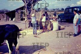 Cidades : BR-SPIIEP_INF-EDP-DPS_CID-009-07 [diapositivo]