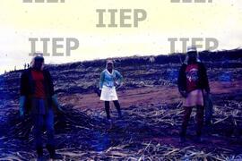 Terra : BR-SPIIEP_INF-EDP-DPS_TER-003-05 [diapositivo]